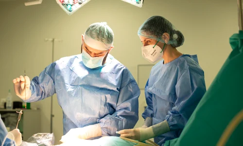 Dr  Decebal Fodor 1 jpg