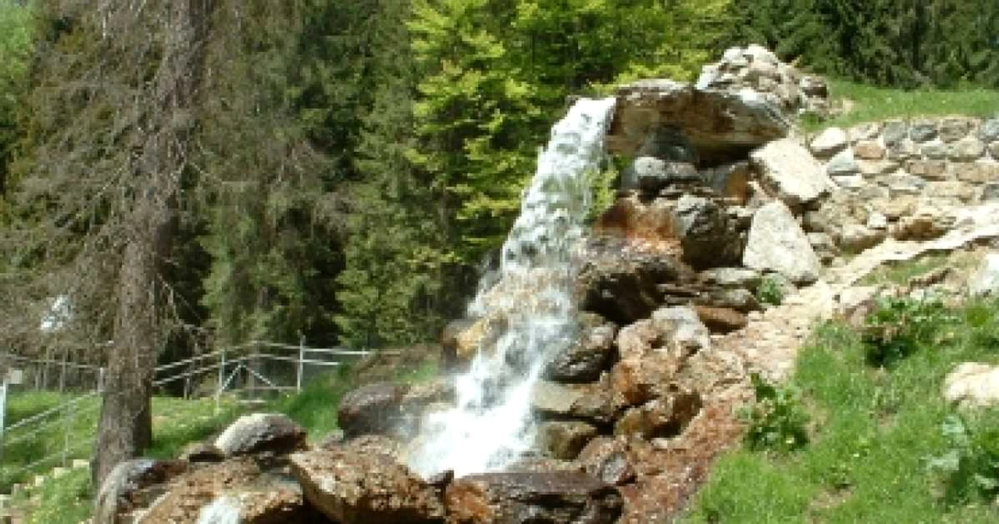 Oradea: Marcă de calitate "Produs în Parcul Natural Apuseni"