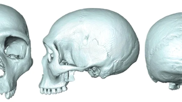 Ultimul strămoş comun al oamenilor şi neanderthalienilor, dezvăluit cu ajutorul unei fosile virtuale jpeg