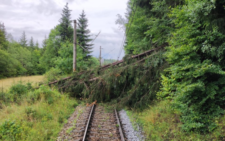 Vijelia puternică a blocat circulația trenurilor care plecau din Gara de Nord. Un copac a căzut pe șine la Buftea
