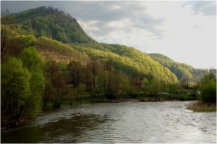 Parcul Natural Lunca Mureşului  FOTO arhivă