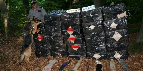 Contrabandiştii au fugit în Ucraina/foto:IJPF Satu Mare