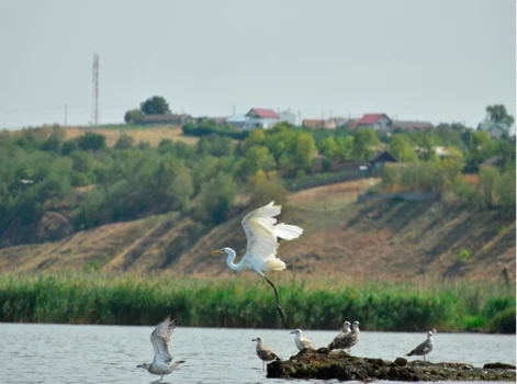 Dobrogea cea frumoasă - Somova din judeţul Tulcea Sursa comunasomova.ro