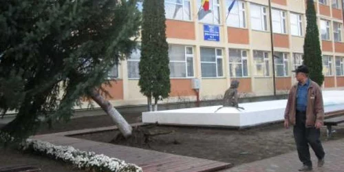 Deşi a trecut o săptămână de când a fost smuls de vânt, bradul din faţa Şcolii 3 este în continuare un pericol pentru trecători