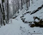 Pasul Vulcan Cascada Lupilor Foto Daniel Guță ADEVĂRUL (3) jpg