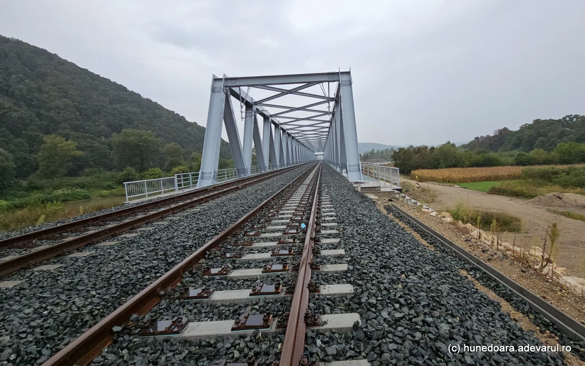 Pod peste Mureș, construit la Brănișca. Foto: Daniel Guță. ADEVĂRUL