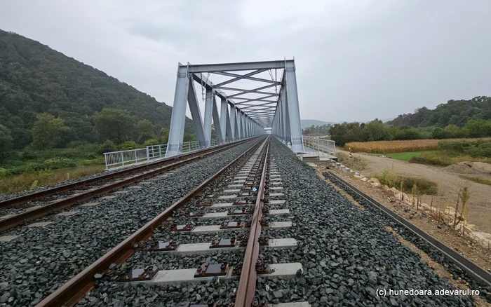 Pod peste Mureș, construit la Brănișca. Foto: Daniel Guță. ADEVĂRUL