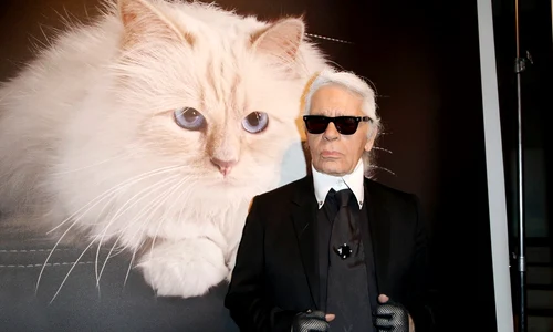 1 profimedia 0231201198 jpg jpeg