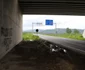 autostrada lugoj deva nod rutier ilia daniel guta adevarul