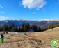 Marea „desarmalizare” pe masivul Leaota. FOTO Chindia Jurasic Park
