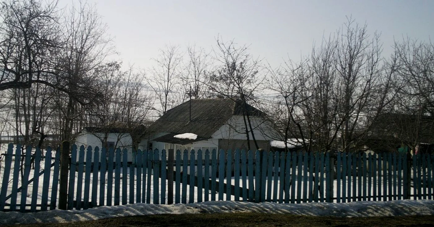 casa parasita
