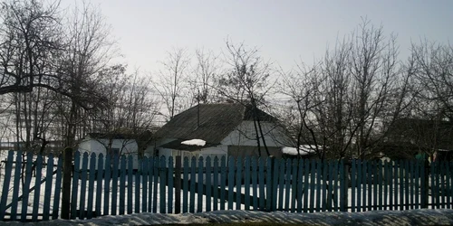 casa parasita