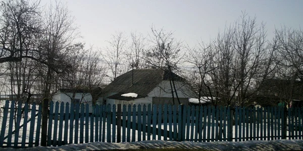 casa parasita