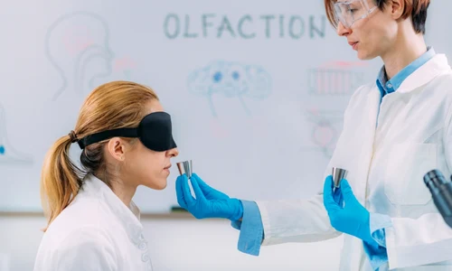 Test de miros, foto Shutterstock jpg