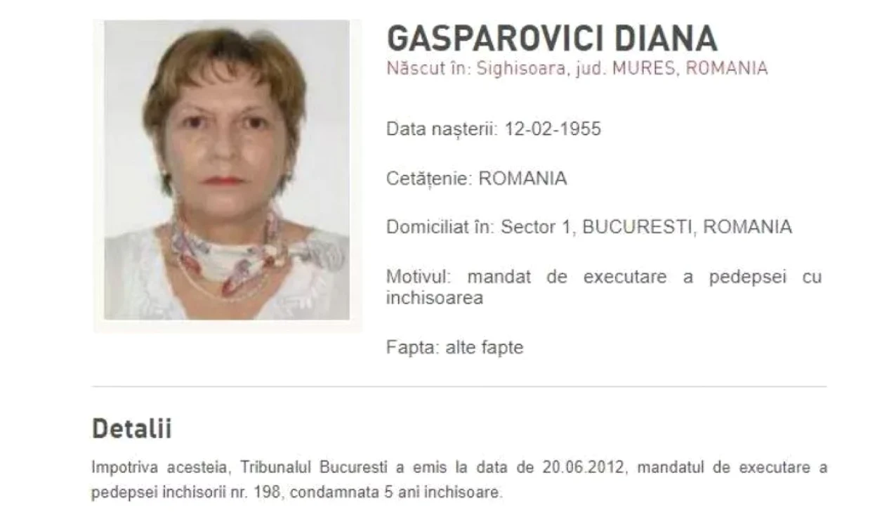 diana gasparovici 
