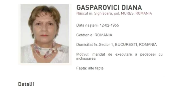 diana gasparovici 