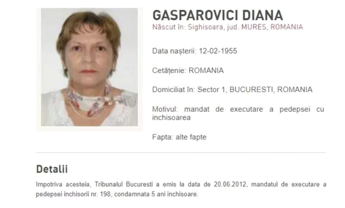 diana gasparovici 