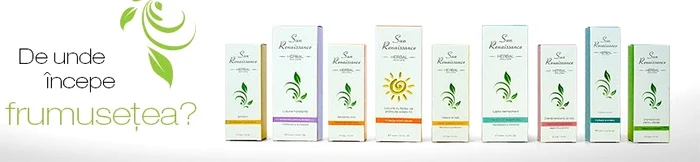 banner sun renaissance 960x200 jpeg