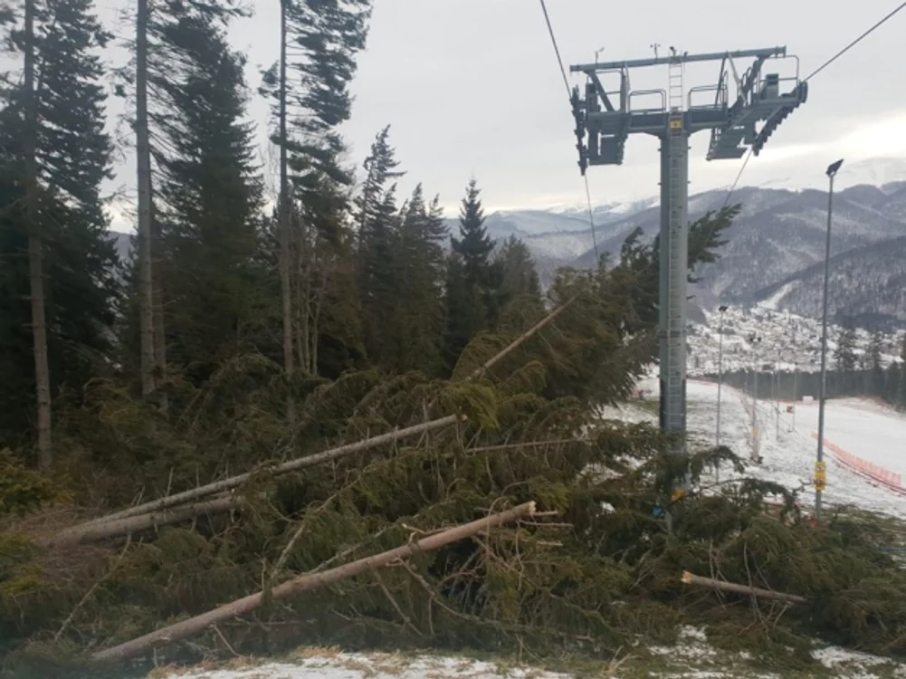 
    Vântul a suflat cu până la 170 km/h în noaptea de 5/6 februarie și a pus la pământ arborilor imenşi peste instalaţiile domeniului schiabil Kalinderu, din BușteniFOTO: adevarul.ro  