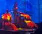 Cele mai spectaculoase costume din show-ul de cabaret de la Dream Dubai
