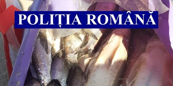 slobozia peste confiscat de la bracinieri foto ipj ialomita