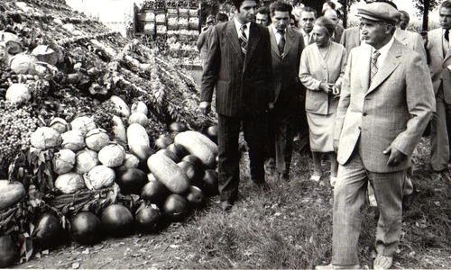 Nicolae Ceaușescu și Elena Ceaușescu, în vizită la CAP Băilești, județul Dolj (© „Fototeca online a comunismului românesc”, cota: 125/1979)