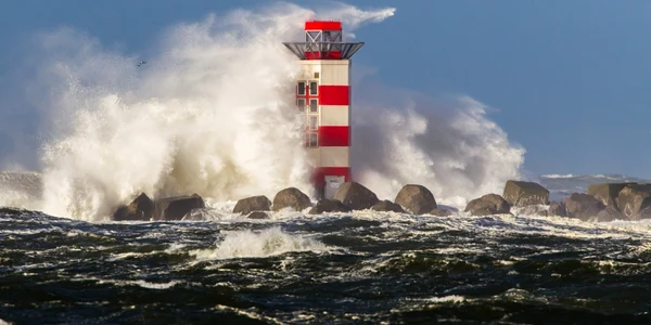 olanda_furtuna_shutterstock