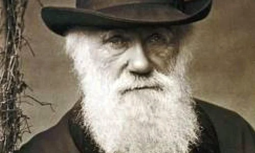 O colecţie a lui Darwin, găsită după 165 de ani jpeg
