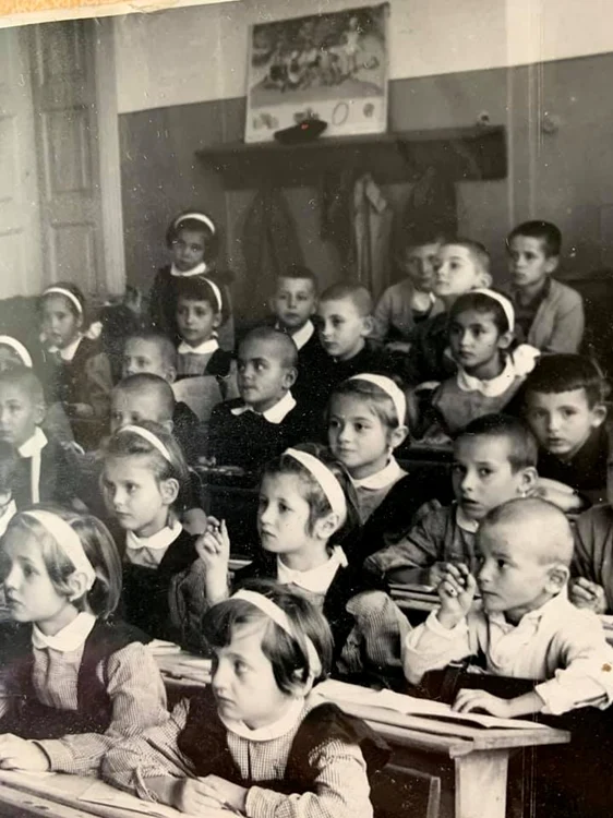scoala Tismaneanu