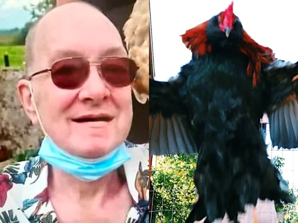  Jasper Kraus a fost atacat de cocoșul său (Foto: Facebook/captură video)