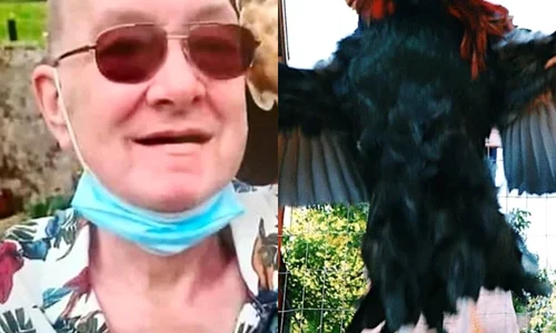 Jasper a fost ucis de cocosul sau jpg