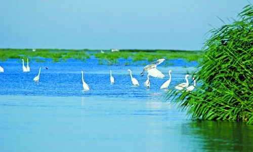 1 46445 original jpg jpeg