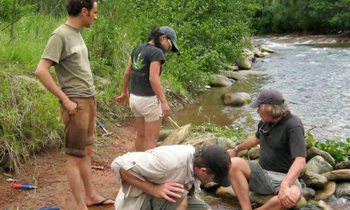  Fosilele unui mamifer preistoric, contemporan cu dinozaurii pitici din Transilvania, descoperite în Țara Hațegului  jpeg