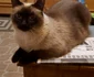 Berlioz