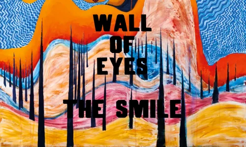1035 17 The Smile Wall Of Eyes 4000x4000 bb30f262 thumbnail 1024 webp