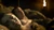 7 arya stark scene de sex game of thrones2 jpg jpeg