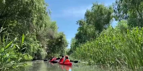 Experienţă de neuitat cu caiacul în Delta Dunării