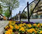 Amenajări florale pe străzile şi în parcurile din Râmnicu Vâlcea Foto Poze şi lucruri frumoase