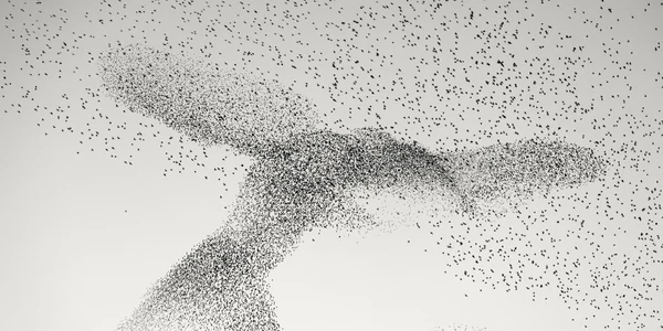 Starling Murmuration de Daniel Dencescu Foto Profimedia jpeg