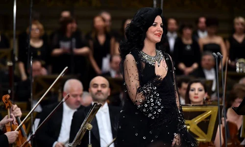 12316623 1043675662355562 6728618969159700934 n jpeg