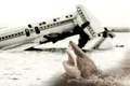 Banner avion Tarom Atlantic 