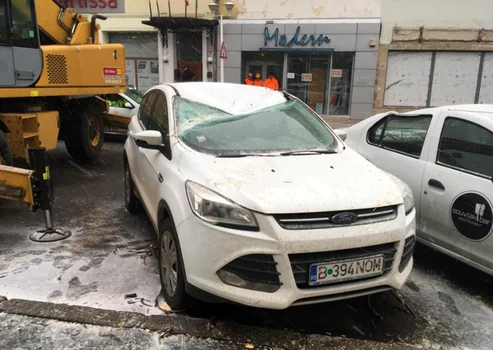 Copac prăbuşit peste maşini în centrul Constanţei Sursa Răzvan Căvescu