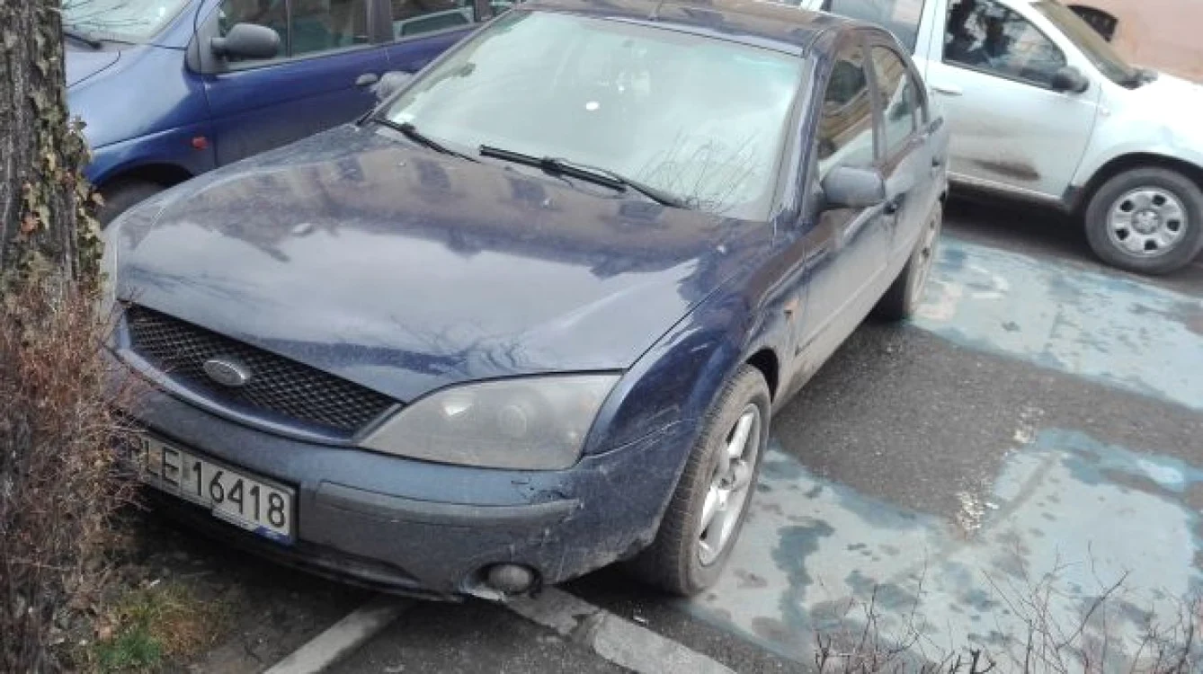 bizon parcare handicapati