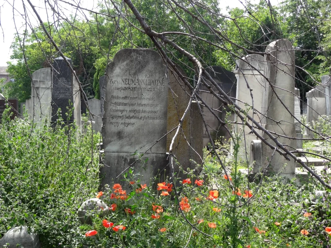 Cimitirul evreiesc din Timişoara