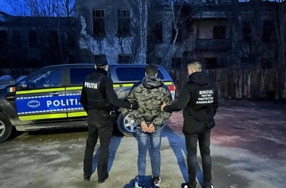 Un bărbat din Bacău riscă până la șapte ani de închisoare pentru că și-a omorât calul
