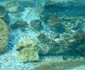 Cercetătorii de la Constanţa fac scufundări în Marea Neagră pentru descoperirea vestigiilor Foto Geo Eco Mar
