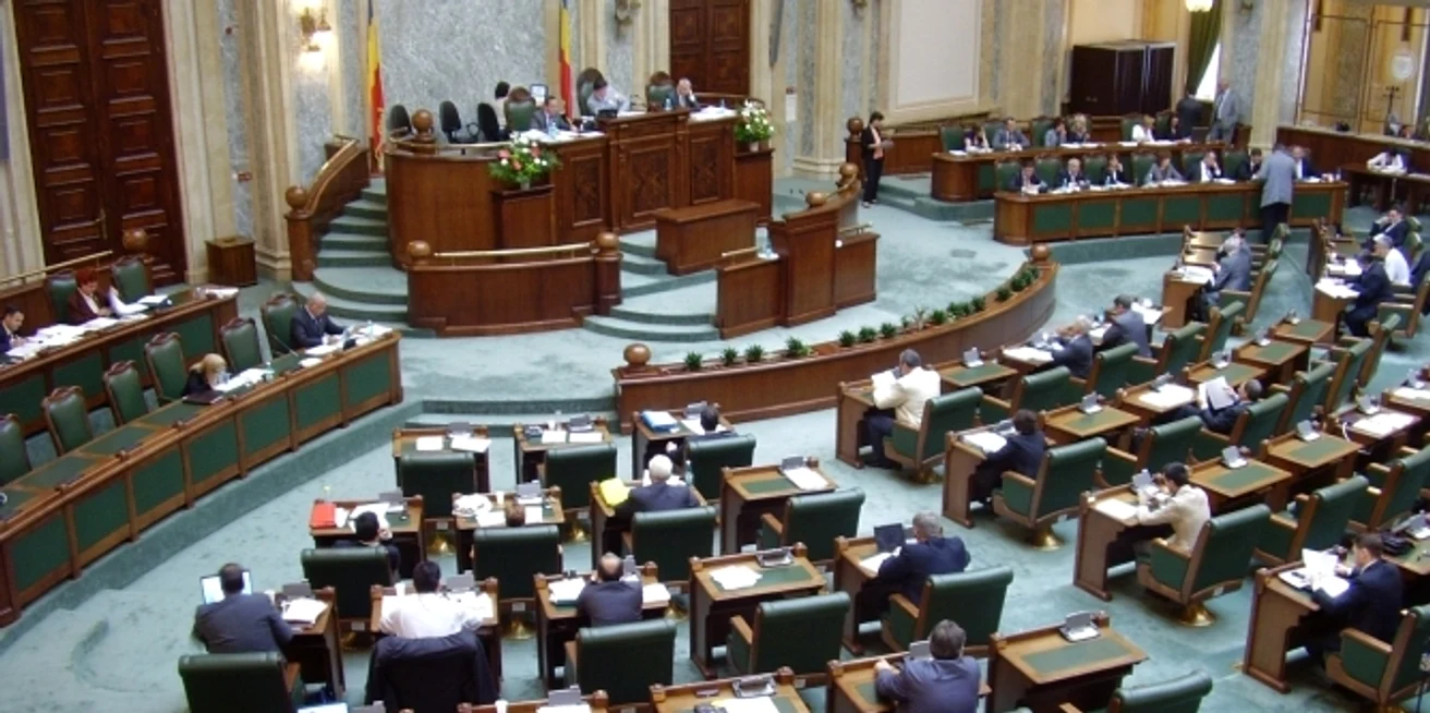 Senatul este prim for pentru lege, Camera Deputațiilor având cuvântul decisiv FOTO Arhivă