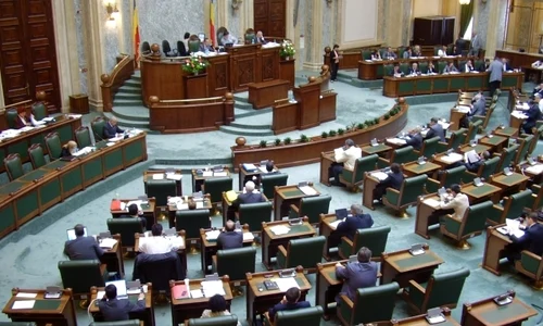 geoana rfi la senat exista noua majoritate facto camera va fi la fel mimetism politic 81749600 jpeg