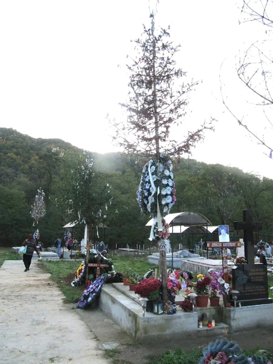 Brazii din cimitir sunt, în Oltenia (aici un cimitir din Gorj), semnul că cel decedat a plecat „nenuntit“ FOTO: Claudia Balaş