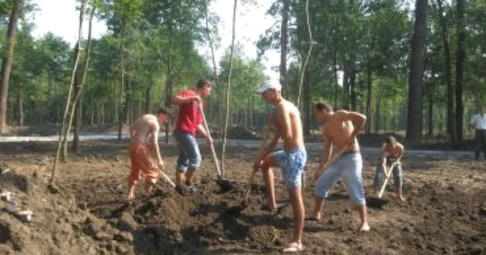 Craiova: Deţinuţii muncesc la parcul din Lunca Jiului